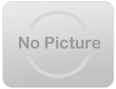 Combination of Chairs and coolers, etc